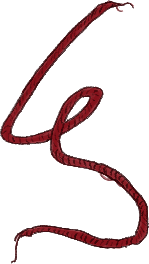 Ein roter Faden
